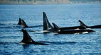 Vancouver