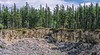 Wood Buffalo Country