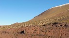 San Pedro de Atacama