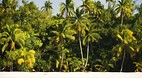 Aitutaki