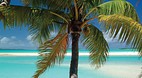 Rarotonga