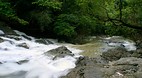 Montezuma