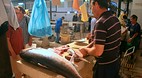 Split Fish Markets