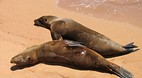 Galapagos Islands