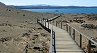 Galapagos Islands