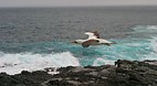 Galapagos Islands