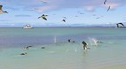 Galapagos Islands