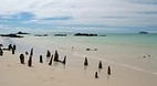 Galapagos Islands