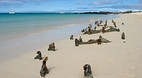 Galapagos Islands