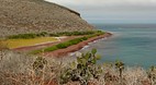 Galapagos Islands