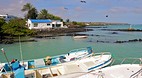 Galapagos Islands