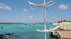 Galapagos Islands