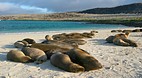 Galapagos Islands