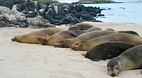 Galapagos Islands