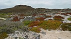 Galapagos Islands