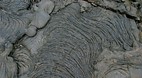 Galapagos Islands