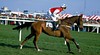 Aintree