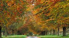 Bourton-on-the-Water