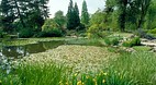 Cambridge