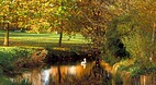 Cambridge