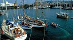 Falmouth