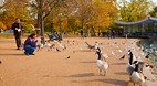 Hyde Park