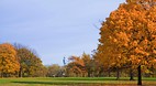 Hyde Park