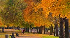 Hyde Park