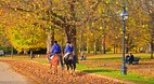 Hyde Park