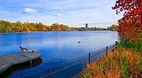 Hyde Park