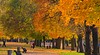 Hyde Park