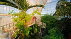 Kew