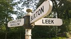 Leek