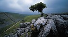 Malham