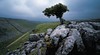 Malham