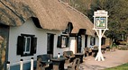New Forest