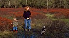 New Forest