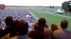 Newmarket