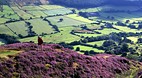 North York Moors
