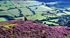 North York Moors