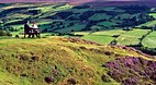 North York Moors