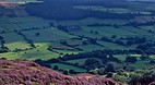North York Moors