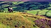 North York Moors