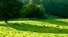 Northumberland
