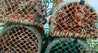 Padstow