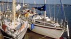 Poole