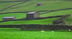Reeth