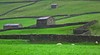 Reeth