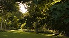 Ripon