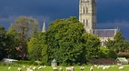 Salisbury